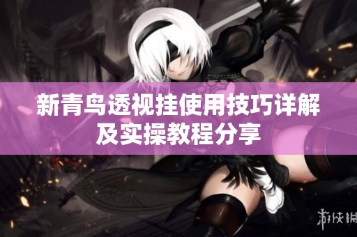 新青鳥透視掛使用技巧詳解及實(shí)操教程分享