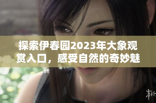 探索伊春園2023年大象觀賞入口，感受自然的奇妙魅力
