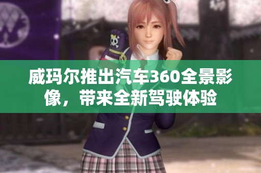 威瑪爾推出汽車(chē)360全景影像，帶來(lái)全新駕駛體驗(yàn)