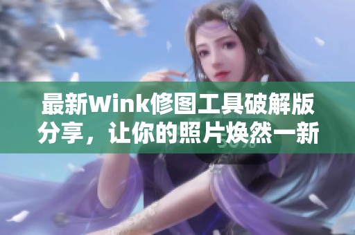 最新Wink修圖工具破解版分享，讓你的照片煥然一新