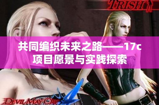 共同編織未來之路——17c項(xiàng)目愿景與實(shí)踐探索