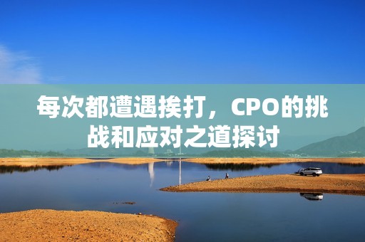 每次都遭遇挨打，CPO的挑戰(zhàn)和應(yīng)對(duì)之道探討