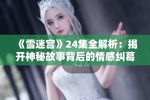 《雪迷宮》24集全解析：揭開神秘故事背后的情感糾葛與真相