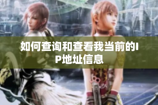 如何查詢和查看我當(dāng)前的IP地址信息