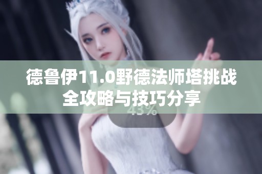 德魯伊11.0野德法師塔挑戰(zhàn)全攻略與技巧分享