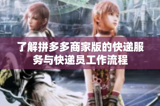 了解拼多多商家版的快遞服務(wù)與快遞員工作流程