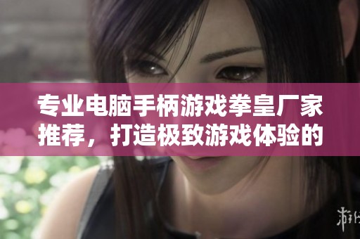 專業(yè)電腦手柄游戲拳皇廠家推薦，打造極致游戲體驗的優(yōu)質(zhì)企業(yè)