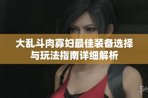 大亂斗肉寡婦最佳裝備選擇與玩法指南詳細(xì)解析