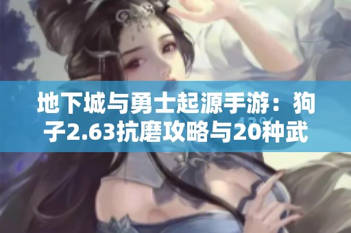 地下城與勇士起源手游：狗子2.63抗磨攻略與20種武器雙傷害解析