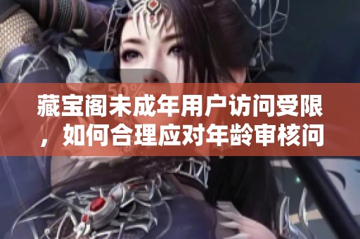 藏寶閣未成年用戶訪問受限，如何合理應(yīng)對(duì)年齡審核問題