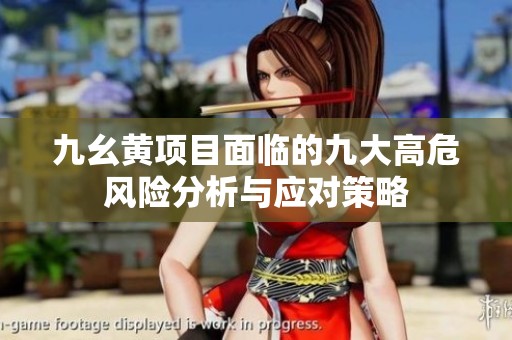 九幺黃項目面臨的九大高危風險分析與應(yīng)對策略