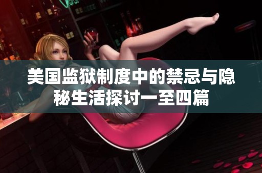 美國監(jiān)獄制度中的禁忌與隱秘生活探討一至四篇