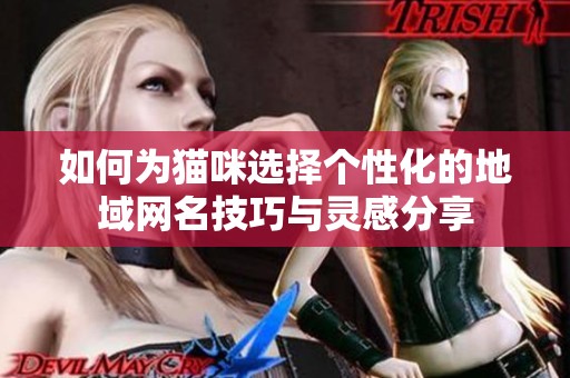如何為貓咪選擇個(gè)性化的地域網(wǎng)名技巧與靈感分享