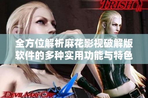 全方位解析麻花影視破解版軟件的多種實用功能與特色