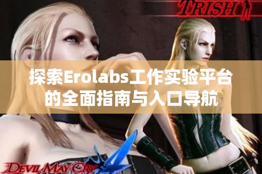 探索Erolabs工作實驗平臺的全面指南與入口導(dǎo)航