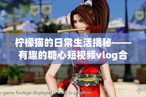 檸檬貓的日常生活揭秘——有趣的糖心短視頻vlog合集