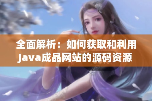 全面解析：如何獲取和利用Java成品網(wǎng)站的源碼資源