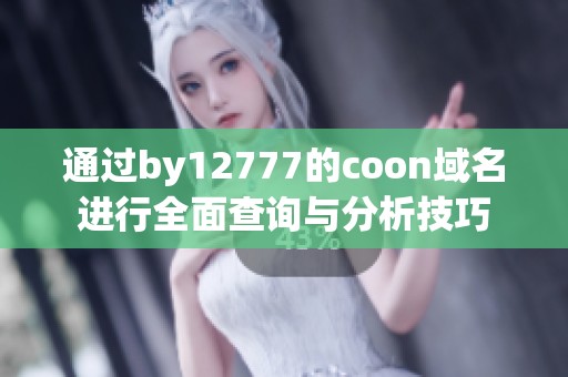 通過by12777的coon域名進(jìn)行全面查詢與分析技巧