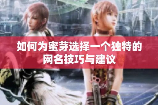 如何為蜜芽選擇一個(gè)獨(dú)特的網(wǎng)名技巧與建議