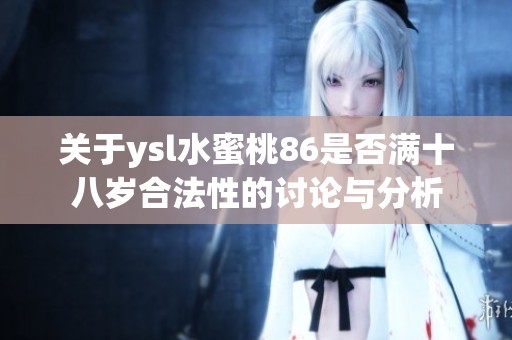 關(guān)于ysl水蜜桃86是否滿十八歲合法性的討論與分析