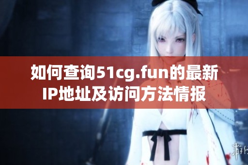 如何查詢51cg.fun的最新IP地址及訪問方法情報