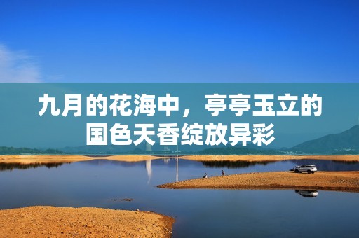 九月的花海中，亭亭玉立的國色天香綻放異彩