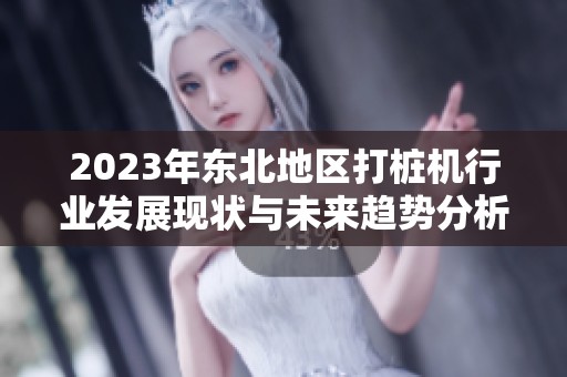 2023年東北地區(qū)打樁機(jī)行業(yè)發(fā)展現(xiàn)狀與未來趨勢(shì)分析