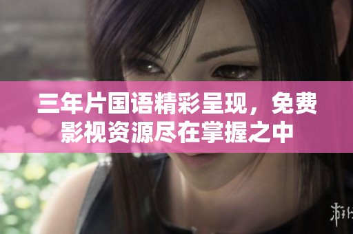 三年片國語精彩呈現(xiàn)，免費影視資源盡在掌握之中