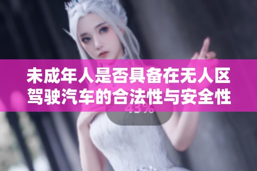 未成年人是否具備在無(wú)人區(qū)駕駛汽車(chē)的合法性與安全性探討