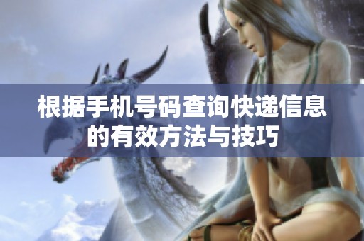 根據(jù)手機號碼查詢快遞信息的有效方法與技巧