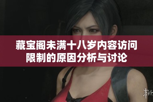 藏寶閣未滿十八歲內(nèi)容訪問限制的原因分析與討論