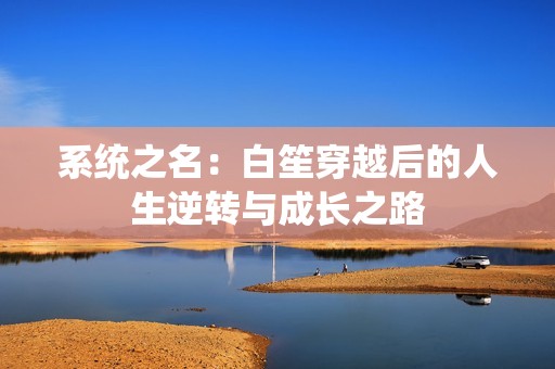 系統(tǒng)之名：白笙穿越后的人生逆轉與成長之路