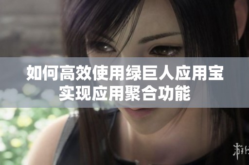 如何高效使用綠巨人應(yīng)用寶實(shí)現(xiàn)應(yīng)用聚合功能
