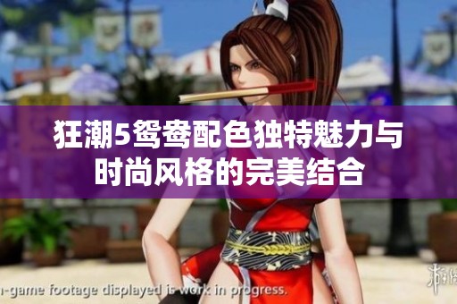 狂潮5鴛鴦配色獨特魅力與時尚風格的完美結(jié)合