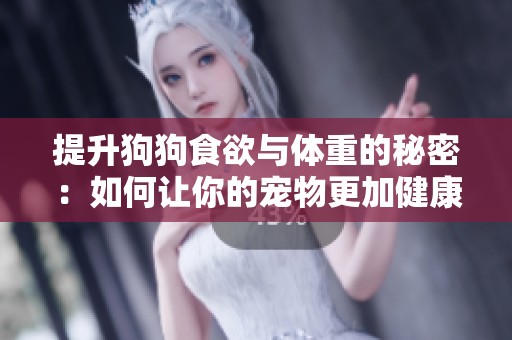 提升狗狗食欲與體重的秘密：如何讓你的寵物更加健康強(qiáng)壯