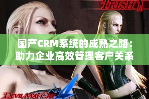 國產(chǎn)CRM系統(tǒng)的成熟之路：助力企業(yè)高效管理客戶關(guān)系