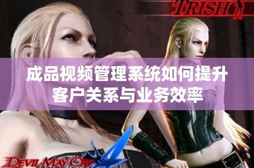 成品視頻管理系統(tǒng)如何提升客戶關(guān)系與業(yè)務(wù)效率