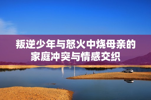叛逆少年與怒火中燒母親的家庭沖突與情感交織
