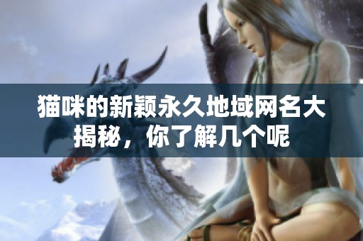 貓咪的新穎永久地域網(wǎng)名大揭秘，你了解幾個呢