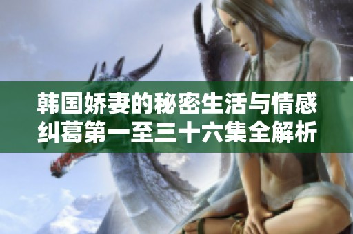 韓國嬌妻的秘密生活與情感糾葛第一至三十六集全解析