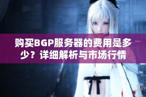 購買BGP服務(wù)器的費(fèi)用是多少？詳細(xì)解析與市場行情