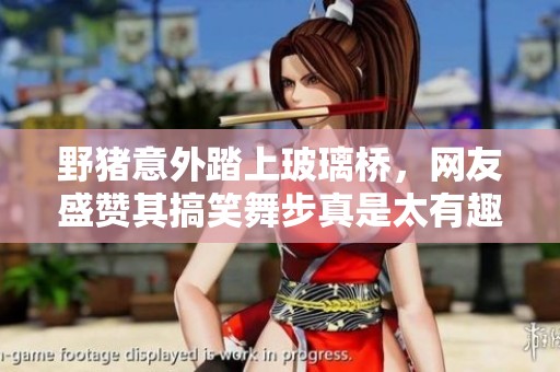 野豬意外踏上玻璃橋，網(wǎng)友盛贊其搞笑舞步真是太有趣了