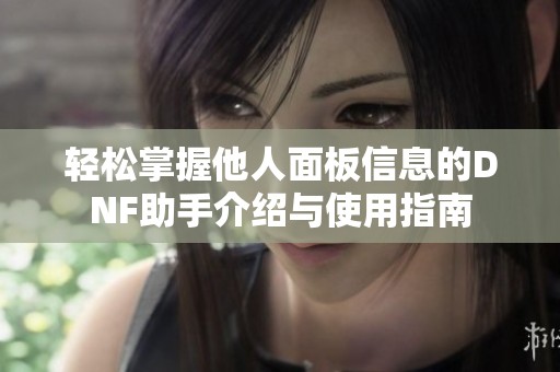 輕松掌握他人面板信息的DNF助手介紹與使用指南