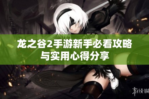 龍之谷2手游新手必看攻略與實(shí)用心得分享