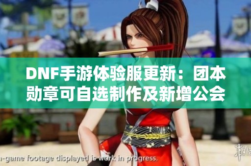 DNF手游體驗服更新：團本勛章可自選制作及新增公會勛章詳解