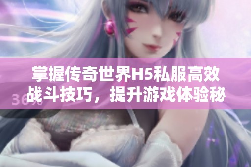 掌握傳奇世界H5私服高效戰(zhàn)斗技巧，提升游戲體驗秘籍