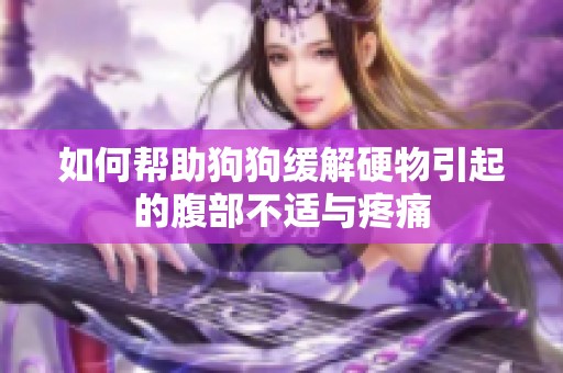 如何幫助狗狗緩解硬物引起的腹部不適與疼痛