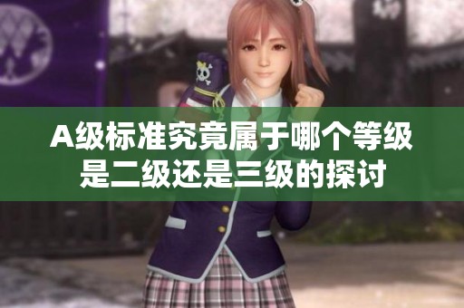 A級標準究竟屬于哪個等級是二級還是三級的探討