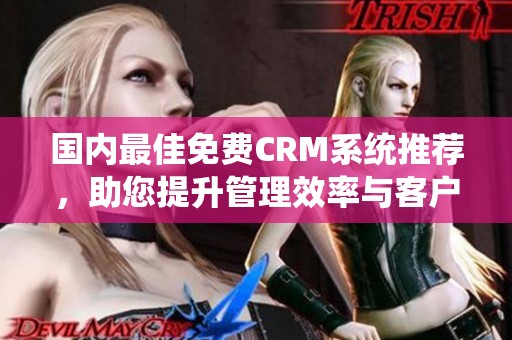 國(guó)內(nèi)最佳免費(fèi)CRM系統(tǒng)推薦,助您提升管理效率與客戶體驗(yàn) 國(guó)內(nèi)最佳免費(fèi)CRM系統(tǒng)推薦,助您提升管理效率與客戶體驗(yàn)